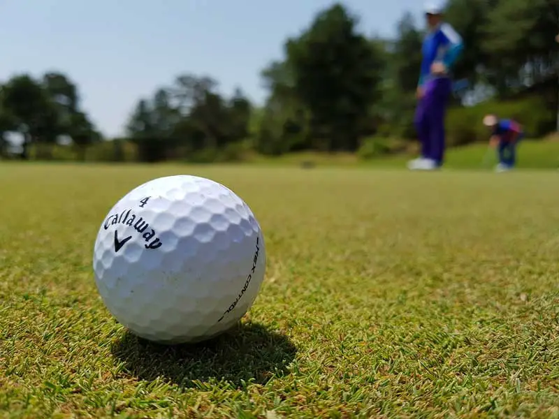 Golf ball on green close up