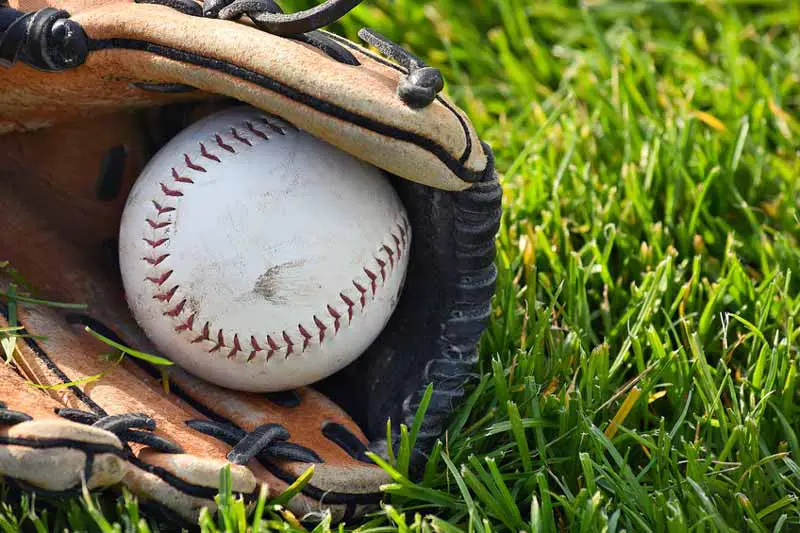Softball glove on grass